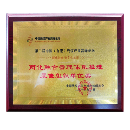 两化融合管理体系推进最佳组织奖